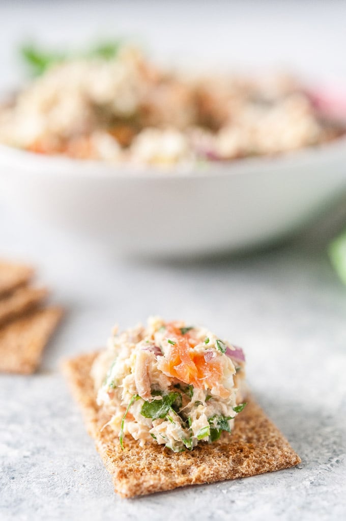 Close up of a cracker with salmon rillettes on top
