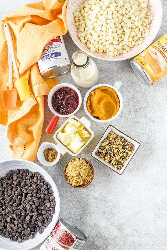 Top down view of all the ingredients to make Pumpkin Cranberry Fudge