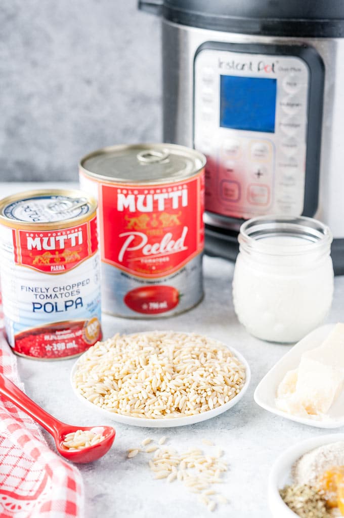 Ingredients to make Instant Pot Tomato Orzo Soup with Instant Pot in the back