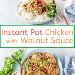Instant Pot Chicken with Walnut Sauce (Satsivi) is a delicious Georgian dish with only a handful of ingredients. It is served cold or hot and it's totally delicious over rice, pasta or on pita. It is also low carb and gluten-free | imagelicious.com #instantpotrecipes #instantpotchicken #satsivi