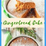 This Vegan Gingerbread Cake is perfect for breakfast with a mug of coffee or an afternoon snack with a cup of tea. It's deliciously spicy and soft and light. Easy one-bowl dessert that can be made even during the busiest holiday season | Imagelicious.com #gingerbread #vegancake