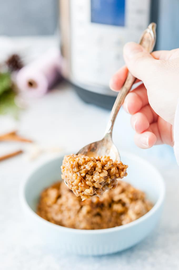 Closeup of a spoon with gingerbread oats.